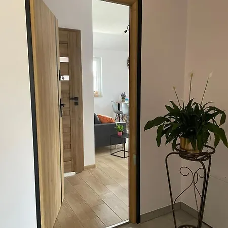 Apartment Apartament Talizman Dzierzazno